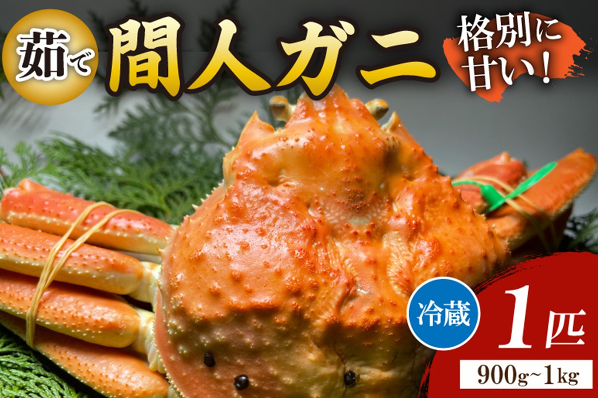 間人漁港仲買人の丸友鮮魚三代目・自慢の間人ガニ≪茹で≫[1匹  900~1kg]　MG00009