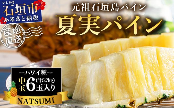 【先行予約】石垣島産 夏実パイン (ハワイ種) 中玉6玉 約5.7kg《2026年7月下旬発送》【 産地直送 沖縄 石垣 フルーツ パイナップル パイン ハワイ 夏実パイン 】SI-126