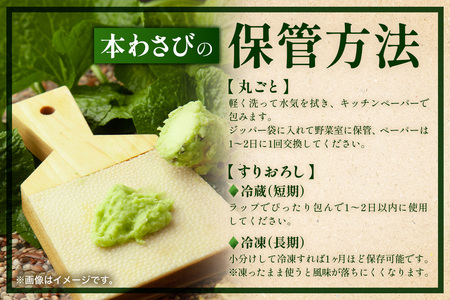 那賀わさび (イシダル) 約300g 3～6本【徳島県 那賀町 生産者直送 産地直送 本わさび わさび ワサビ 生わさび 山葵 野菜 香味野菜 国産 イシダル 薬味 調味料 万能 新鮮】FN-13