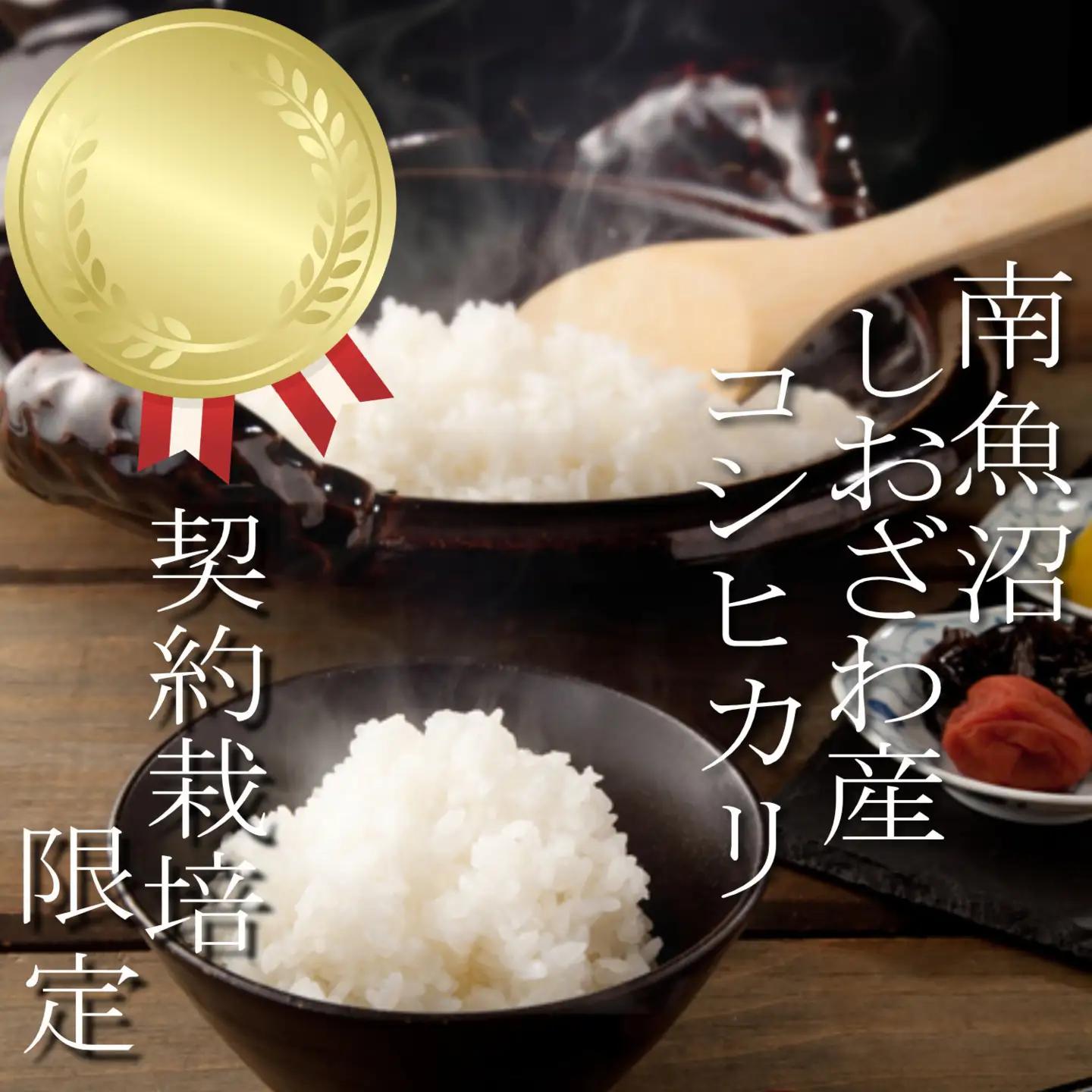 【令和7年】【定期便： 5Kg×12ヶ月】生産者限定 契約栽培 南魚沼しおざわ産コシヒカリ｜こしひかり