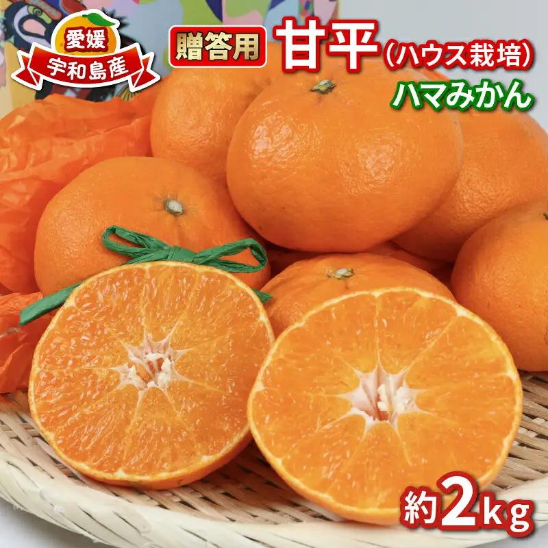 甘平 高級柑橘 2kg 贈答用 甘平 ハウス栽培 甘平 先行予約 ハマみかん 甘平甘平甘平 ハウスみかん B020-075006