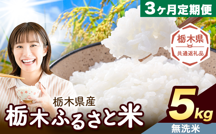 【3ヶ月定期便】栃木 ふるさと米 無洗米 5kg《お申込み翌月から出荷》栃木県 野木町 米 精米 国産 お米 おこめ お弁当 おにぎり【栃木県共通返礼品】