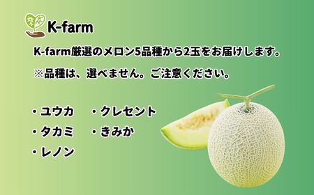 K-farmのこだわりメロン 5種類の中から おまかせ 厳選 2玉