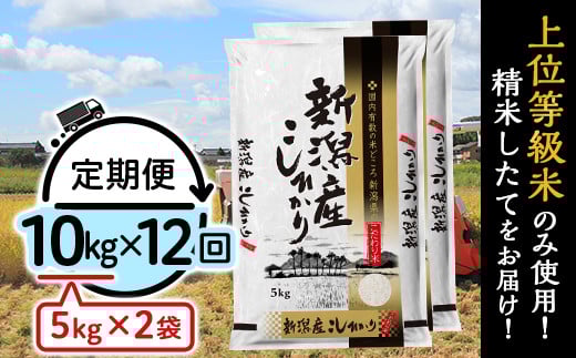
            K1012【12ヶ月連続お届け】新潟県産コシヒカリ10kg（5kg×2袋）
          