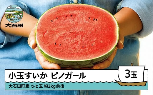 先行予約 すいか 小玉 ピノガール 約2kg前後×3玉 2026年産 令和8年産 山形県産 大石田町産 7月中旬から順次発送 mn-sukxx3