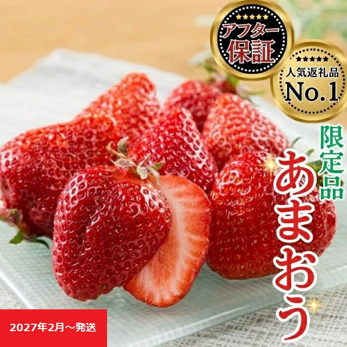 人気No.1獲得謝礼品★限定品★博多あまおう約1120g 先行受付