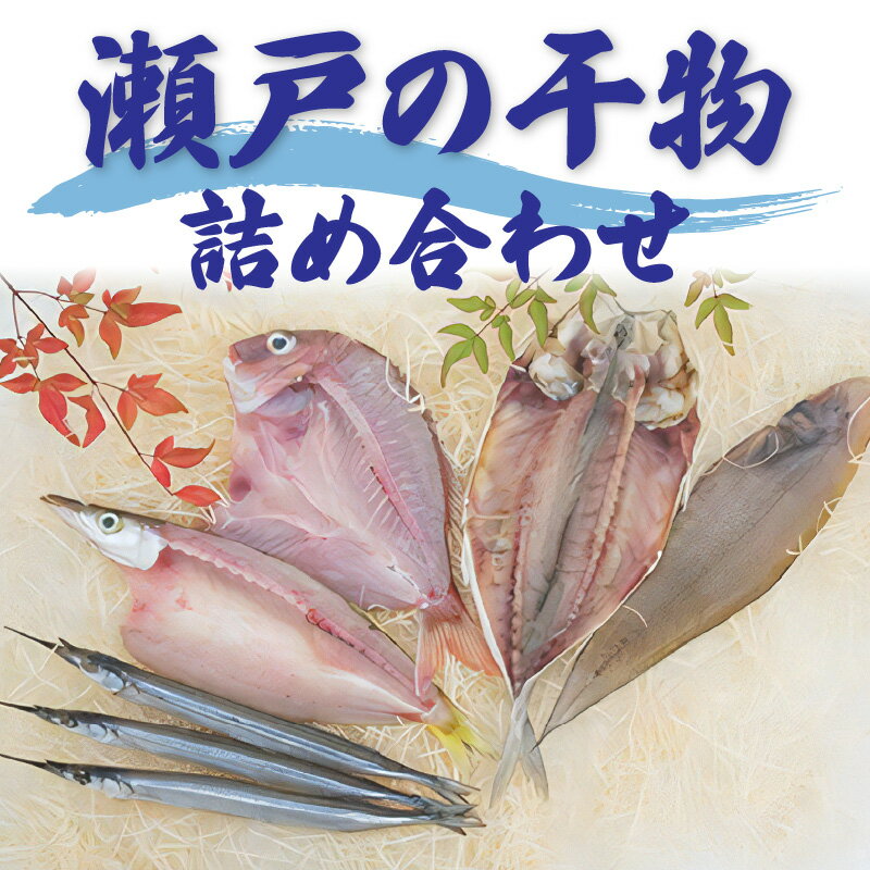 【ふるさと納税】瀬戸の干物詰め合わせ