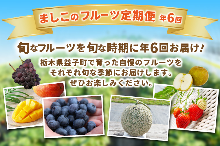 ＼旬なフルーツをお届け／ましこのフルーツ定期便 ＜年6回＞ | イチゴ ブルーベリー マンゴー 梨 ブドウ メロン 高級果物 フルーツ 新鮮 フレッシュ 旬 人気 ましこの果物 道の駅ましこ 果物 詰