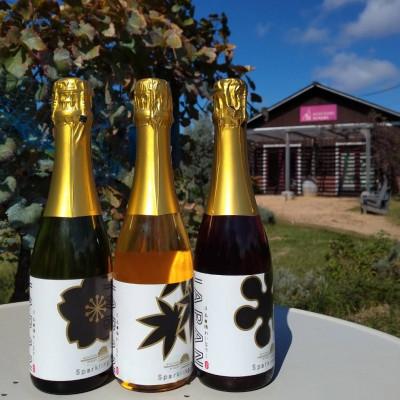 ふるさと納税 長野県 スパークリングワインハーフボトル　3本セット