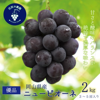 【2026年先行受付】岡山　花笑み農園の『ニューピオーネ』2kg(3～5房)優品　P-2優【配送不可地域：離島・北海道・沖縄県】