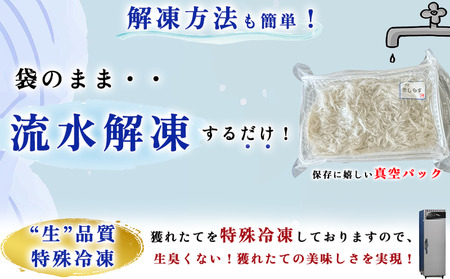 生しらす(お刺身) 1.2kg(100ｇ×12個) 岬だより [配送不可地域：離島]