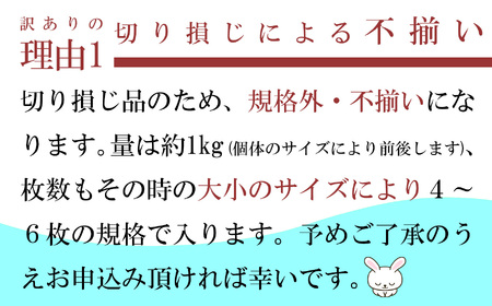 【年内配送】訳あり真ホッケ開き干し 1kg(4～6枚) 【訳あり 魚介 ほっけ ホッケ 干物 ひもの 年内お届け 宮城県 塩竈市 期間限定 家計応援 生活応援】