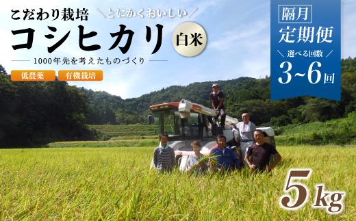 
            【定期便3～6回隔月お届け】令和6年産 有機栽培コシヒカリ白米 5kg×3～6回(隔月) 京都府産 低農薬 隔月お届け【 定期便 隔月 米 5キロ 精米 白米 こめ コメ お米 おこめ こしひかり 井上吉夫 米農家 有機栽培米 有機栽培 農家直送 減農薬 綾部市 京都府 】
          