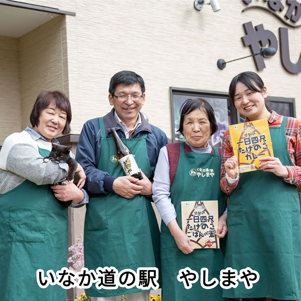 【丸森町特産】 たけのこカレー5個【08109】