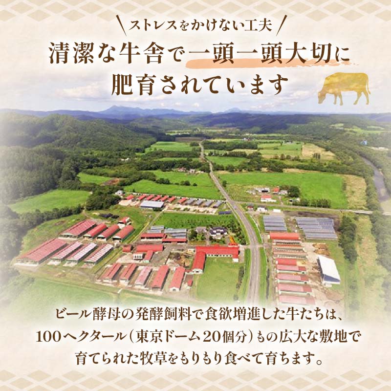 【これぞ北海道産 極上赤身肉】阿寒モルト牛サーロインステーキA 約230g×3枚 ふるさと納税 肉 F4F-2223