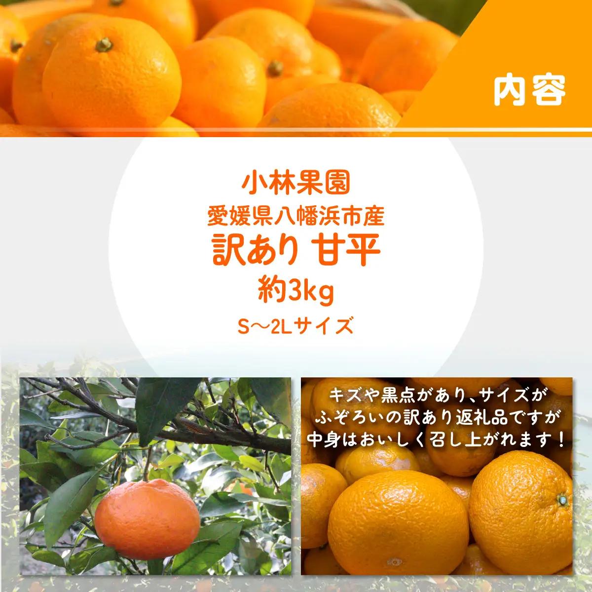 【先行受付】★訳アリ★【数量限定300箱】　愛媛・小林果園の甘平(かんぺい)約3キロ【C24-39】【1711287】 YWTAD030