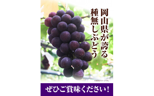 先行予約 岡山県産 ニューピオーネ （1房680g以上） 1房入り 種無し ぶどう 令和8年産先行受付《2026年9月中旬-10月下旬頃出荷》【配送不可地域あり】H-33b