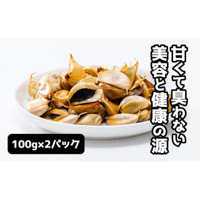 ふるさと納税 山口市 山口県産 黒にんにく100g×2パック E044