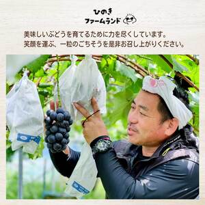 《2026年夏頃発送・先行受付》【ひのきファームランド】 訳あり ぶぶシャインマスカット 1kg ぶどう マスカット 果物 フルーツ 233001