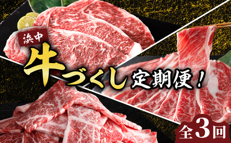 ＜全3回・連続＞浜中牛づくし定期便　全3回 定期便 毎月お届け 浜中牛づくし定期便 牛肉 おかず お弁当 晩ご飯 焼肉 ステーキ すき焼き しゃぶしゃぶ 肉じゃが 牛丼 カレー ビーフシチュー 食品 ご褒美 記念日 お取り寄せ グルメ 冷凍 国産 北海道 浜中町 送料無料_H0019-109