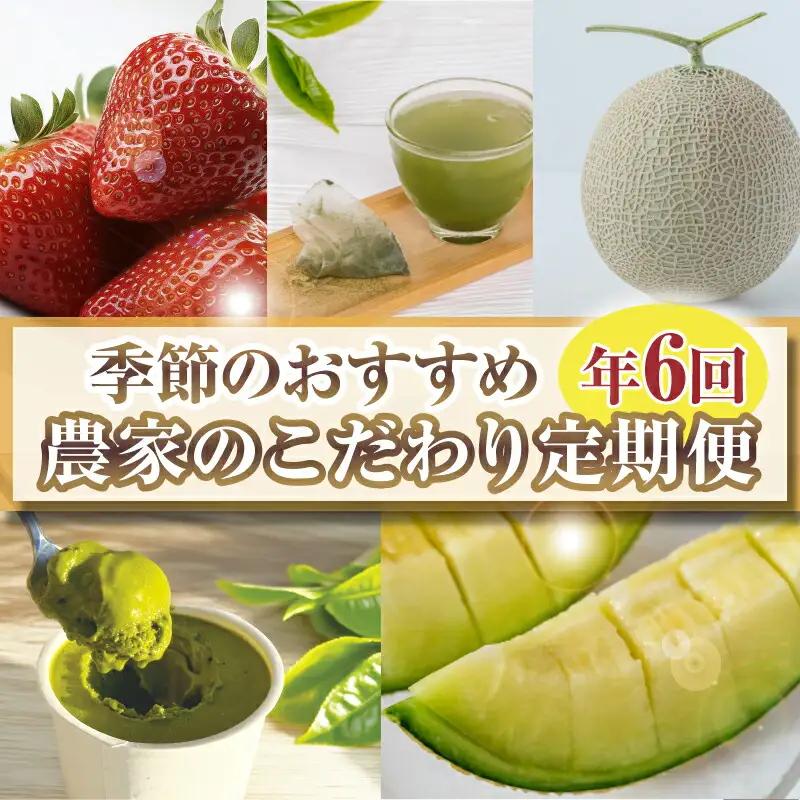 【定期便6回】 季節のおすすめ 農家のこだわり定期便 いちご メロン 新茶 森木農園
