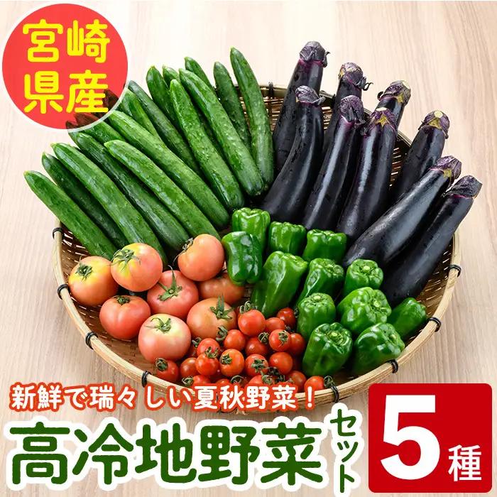＜数量限定・期間限定＞高千穂地区高冷地野菜詰め合わせ(5種) やさい きゅうり ピーマン トマト ミニトマト なす 茄子 冷蔵 季節 新鮮 旬 産地直送 【NK017】【宮崎県農業協同組合　高千穂地区本部】