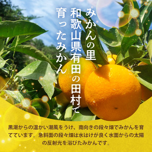 【2026年先行予約】天の恵み 温州みかん Mサイズ 特選 5kg【ミカン 蜜柑 柑橘 温州みかん 和歌山】_H6005