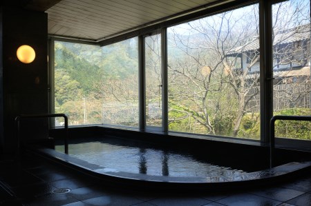 土佐和紙工芸村「くらうど」　ペア宿泊券★一泊夕食朝食付