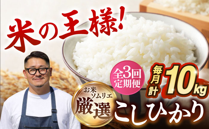 【全3回定期便】 壱岐産米 こしひかり 10kg 《壱岐市》【長米壱岐営業所】 [JCZ032]
