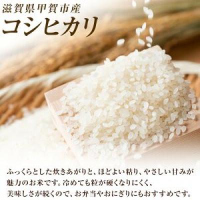 ふるさと納税 甲賀市 【令和7年産】近江米コシヒカリ白米10kg |  | 01