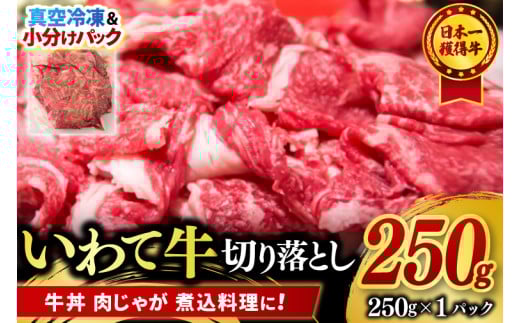 切り落とし 肉 牛肉 小分け 真空冷凍 いわて牛 250g 岩手県産 和牛 牛肉 黒毛 和牛 切り落とし肉 大容量 肉 すき焼き 肉じゃが 煮込み 煮物 赤身 国産牛 小分け 冷凍 数量限定 (AB092)