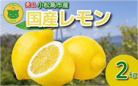 レモン 2kg 秀品 2025年10月順次発送 国産 檸檬 れもん ワックス不使用 防腐剤不使用 