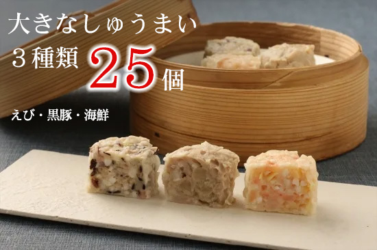 【3ヶ月定期便】生餃子専門店「新家」の生餃子100個・創作餃子5種類75個・大きなしゅうまい25個