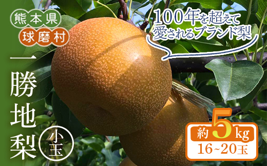FKP9-721 【先行予約】【訳あり】一勝地梨 小玉 約5kg