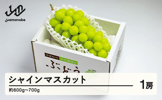 《先行予約》2026年 山形県産 シャインマスカット 1房 やまのべ多田農園のぶどう（約600～700g） F20A-795