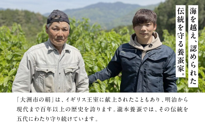 洗顔＆全身用 石けん 石鹸 ソープ スキンケア フェイシャル ボディ 美容 基礎化粧品 洗顔 保湿 日用品 シルク 絹 しるく