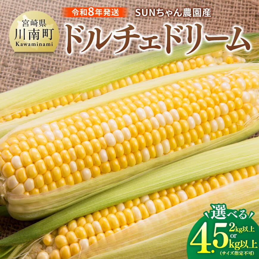【ふるさと納税】※送付内容が選べる※【令和8年発送】SUNちゃん農園産「ドルチェドリーム（サイズ指定不可）」 - とうもろこし ドルチェドリーム トウモロコシ 令和8年発送 数量限定 期間限定 C13101