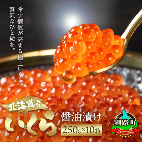 いくら醤油漬け 250g ×10箱  ｜国産 いくら いくら醤油漬 イクラ ikura 天然 鮭 サーモン 鮭卵 鮭いくら 冷凍 笹谷商店 直営 釧之助本店 配送時期が選べる 配送 指定 配送日 選べる スピード発送 北海道 釧路町 釧路超 特産品