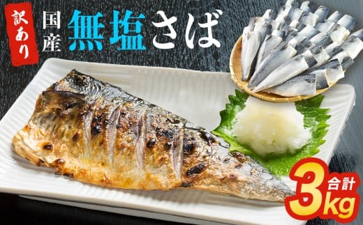サバ 訳あり 無塩サバ フィレ 3kg (30枚前後)  サバフィレ 冷凍 鯖 無塩 フィレ さばフィレ saba サバ 訳アリ 切り身 海鮮 惣菜 小分け バラ冷凍 不揃い 魚 お魚 焼き魚 煮魚 おかず お弁当 美味しい 簡単調理 石巻 宮城