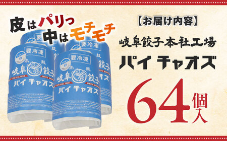 岐阜餃子64個入り（パイチャオズ） ぎょうざ 冷凍餃子 お取り寄せ 岐阜市/MABUCHIKOGYO[ANEY001]