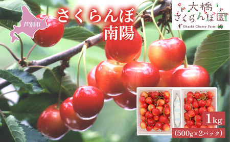 【 先行受付 】さくらんぼ 南陽1kg（500g×2パック）高級 サクランボ 北海道 芦別産 赤 3L 果物類 フルーツ チェリー 