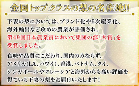 【全国梨選手権 最高金賞受賞】茨城県産「恵水」梨5kg【2026年8月下旬～9月中旬にかけて発送予定】【 梨 なし ナシ 茨城県梨 下妻梨 人気梨 果物梨 フルーツ梨 果物 フルーツ 】