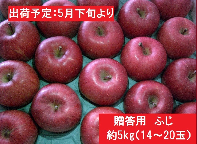 5～6月贈答用ふじ 約5kg（14～20玉）