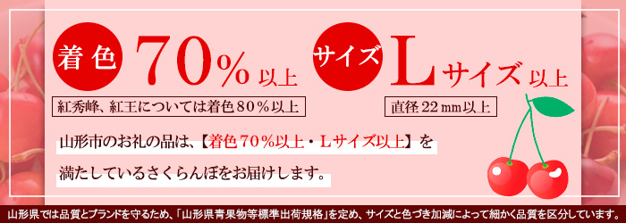 ☆フルーツ王国山形☆さくらんぼ 佐藤錦 Lサイズ 360g(180g×2パック) 【令和9年産先行予約】FS25-558