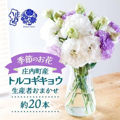 ふるさと納税 庄内町 【R8.9月下旬発送】庄内町フラワーラボ トルコギキョウ 生産者おまかせ 20本