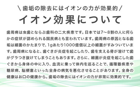 歯ブラシ IONPA home 抗菌 極細 替えブラシ コンパクト ブラック 計24本
