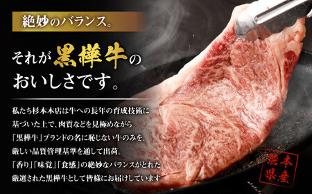 黒樺牛 切り落とし500g （500g×1パック） 黒毛和牛 牛肉 切り落とし肉 冷凍
