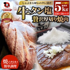 牛タン焼肉 秘伝の塩ダレ漬け 総重量 5kg(250g×20)《専門店の味》