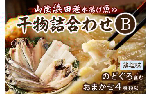 浜田港水揚げ魚の薄塩味干物B（のどぐろを含む） 魚介類 魚貝類 薄塩味 干物 干もの 一夜干し セット 人気 お取り寄せ アカムツ 【019_1946】