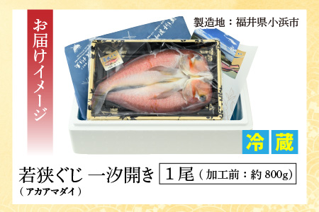 【加福鮮魚】若狭ぐじ 一汐開き 1尾 800g　甘鯛 タイ アカアマダイ 焼き魚 高級[C-015003]